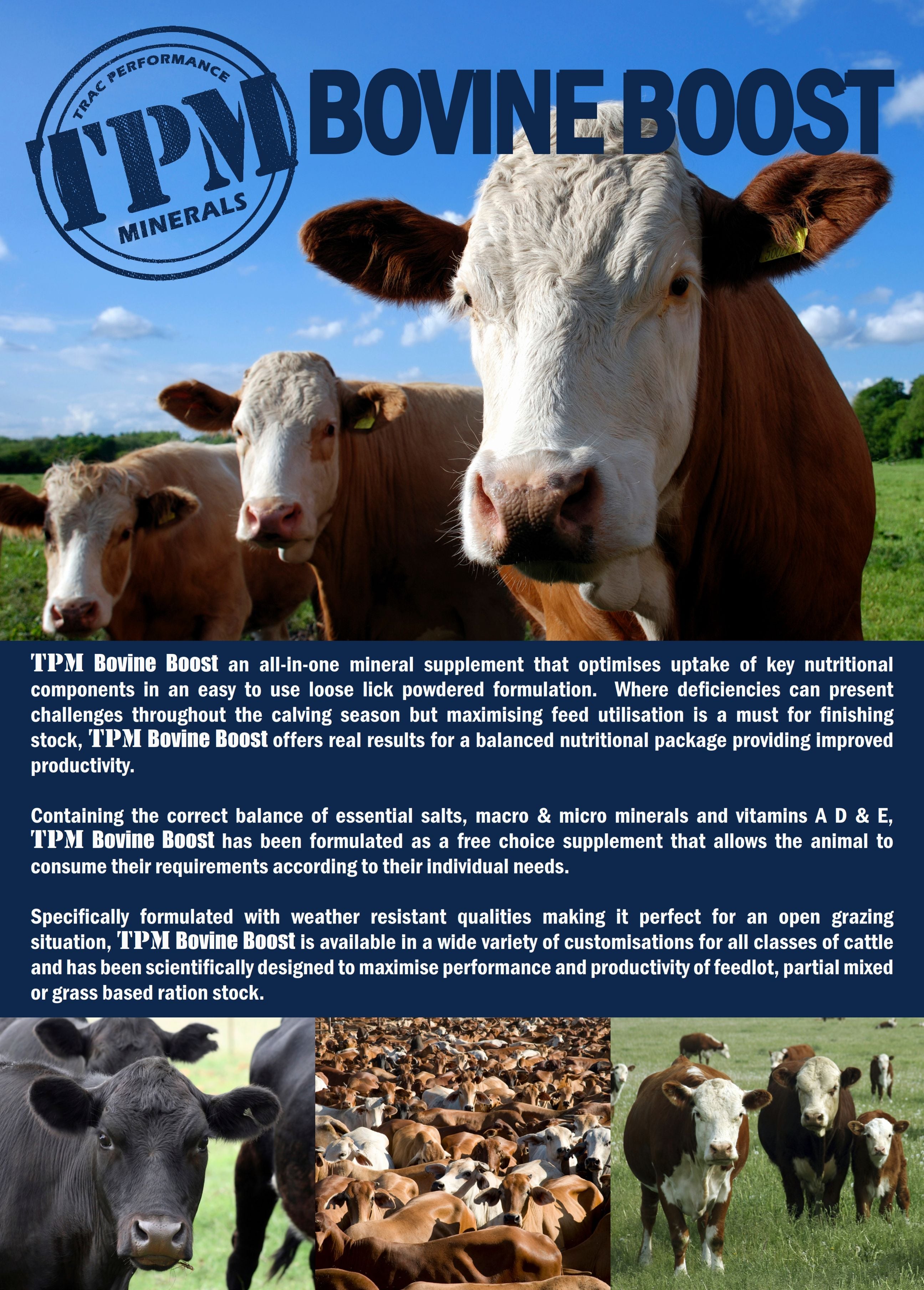 Bovine Boost for Cattle Bovine Boost for Cattle